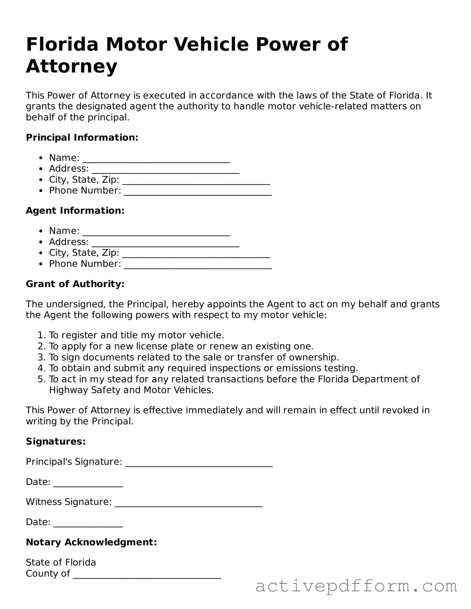 Blank Florida Motor Vehicle Power of Attorney Document