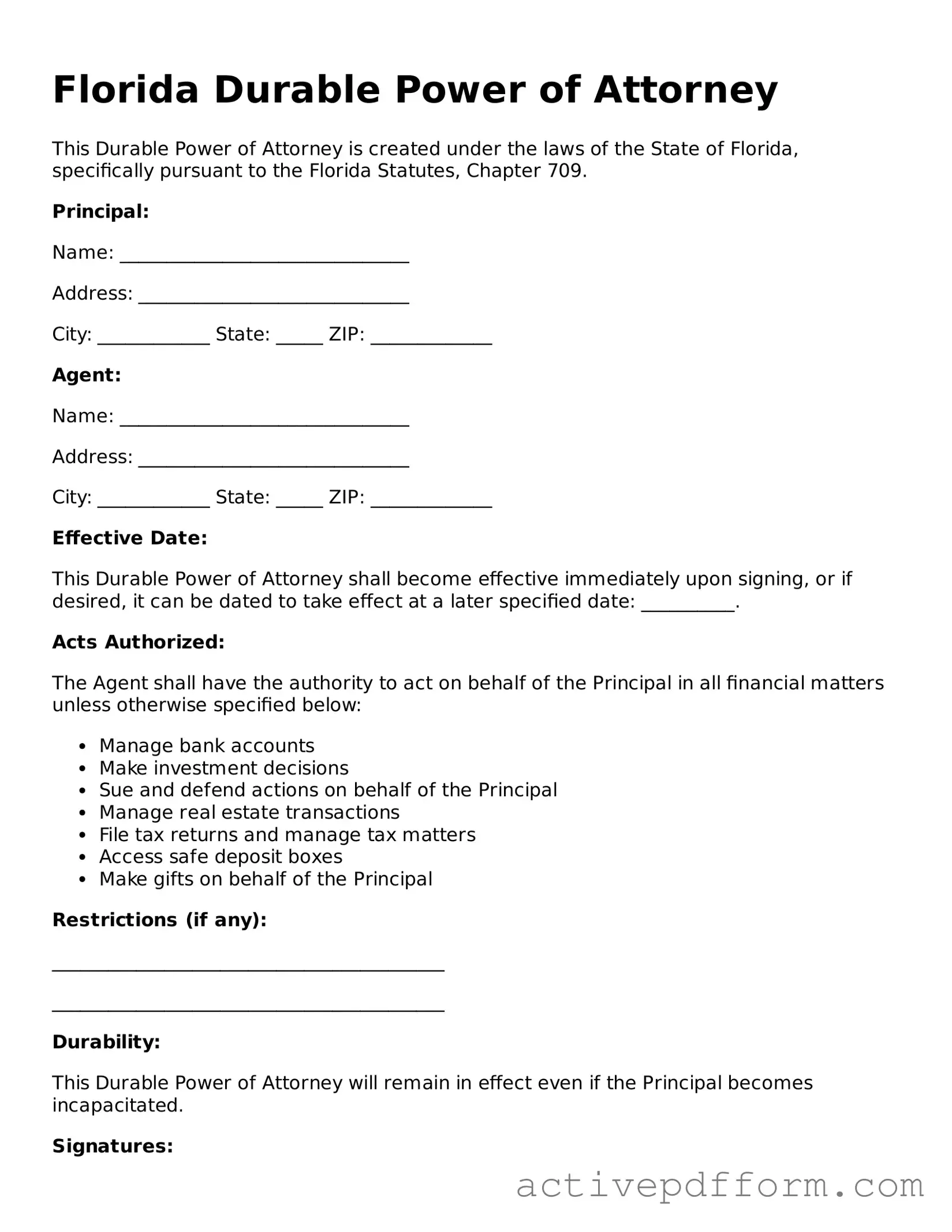 Blank Florida Durable Power of Attorney Document