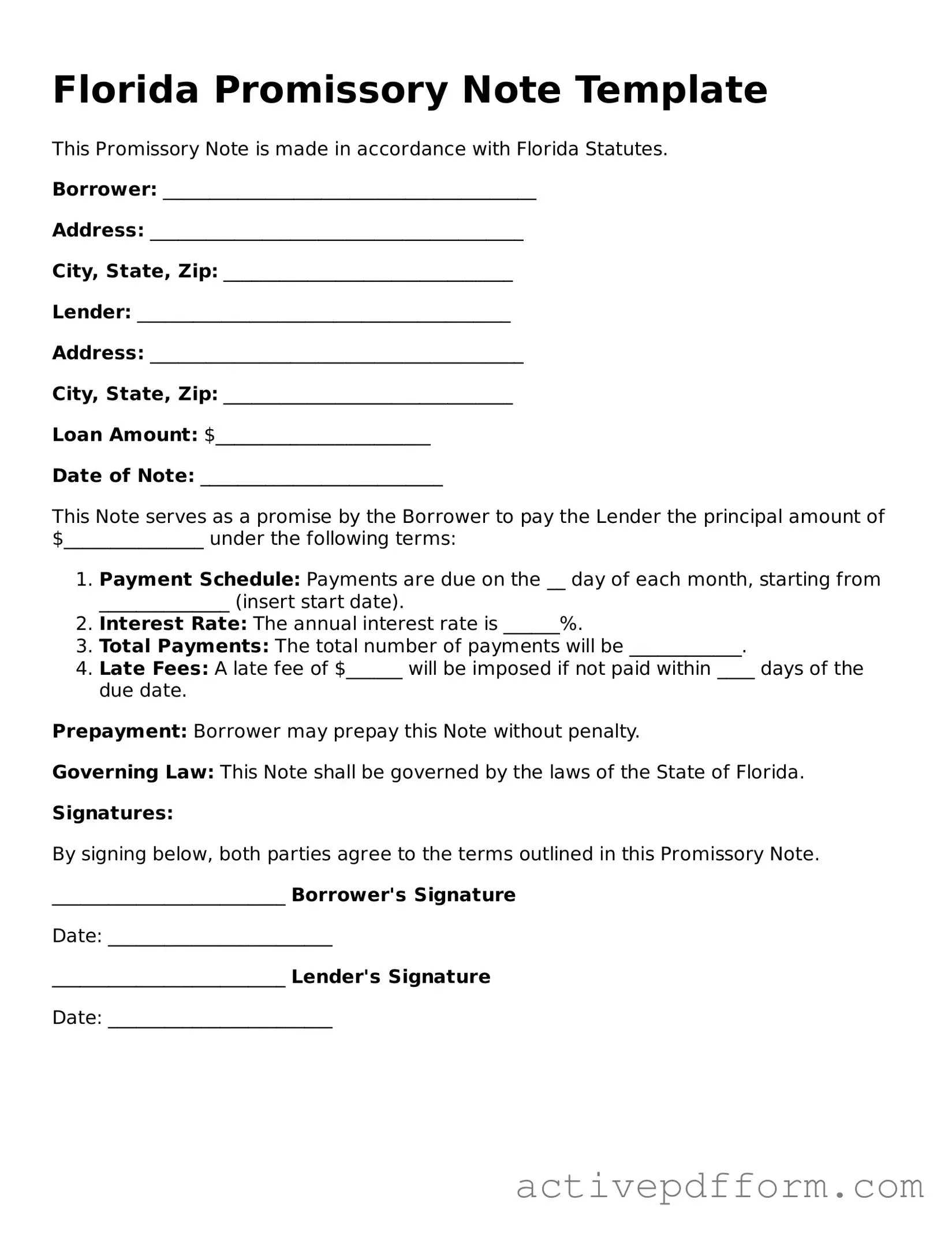 Blank Florida Promissory Note Document