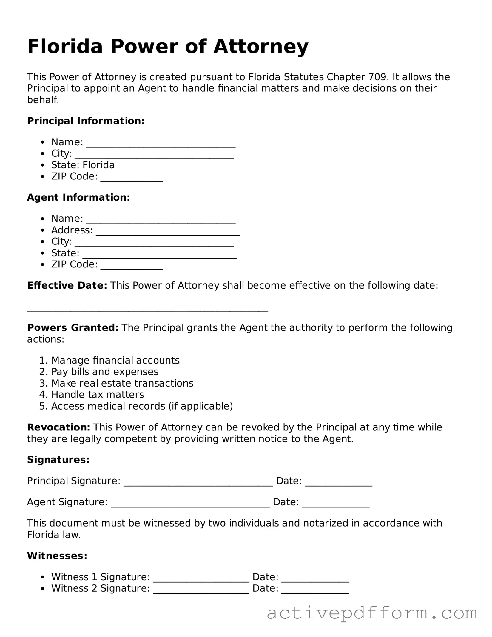Blank Florida Power of Attorney Document