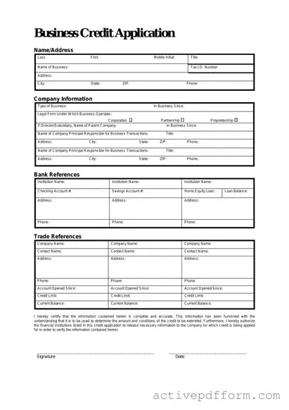 Free Business Credit Application Template