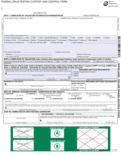 Free Drug Screen Template