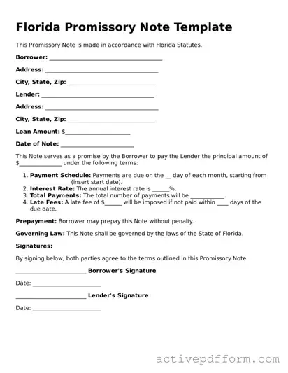 Blank Florida Promissory Note Document