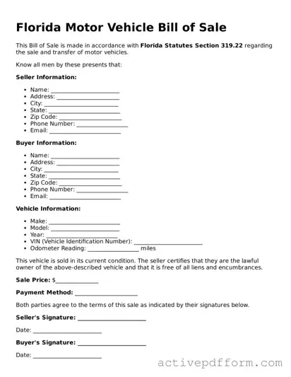 Blank Florida Motor Vehicle Bill of Sale Document