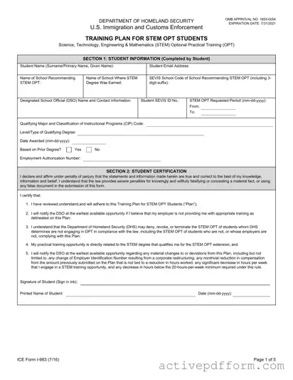 Free ICE I-983 Template