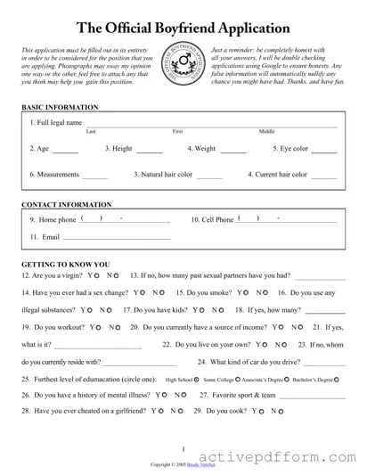Free Boyfriend application form Template