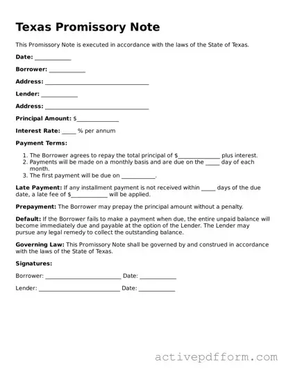 Blank Texas Promissory Note Document