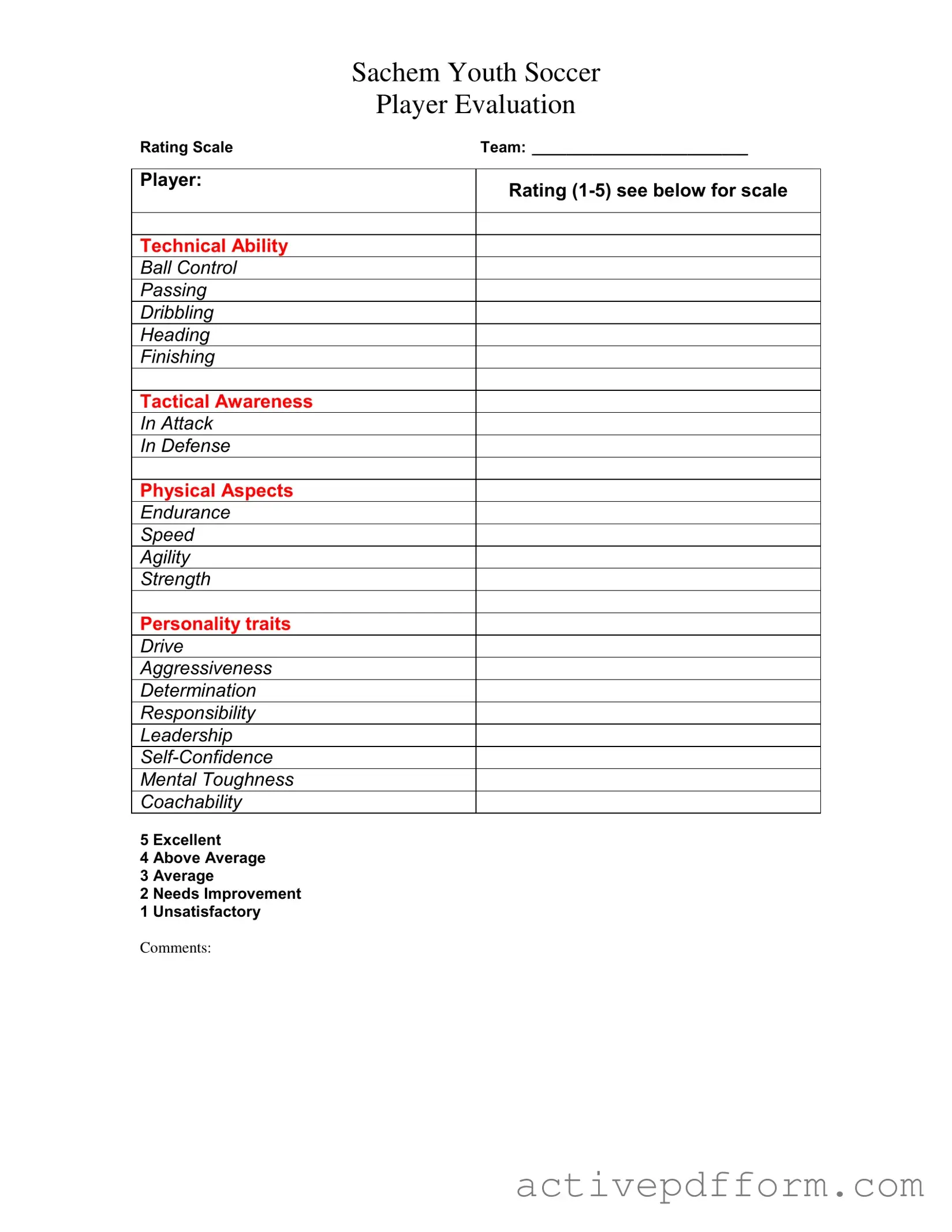 Free Soccer Player Evaluation Template