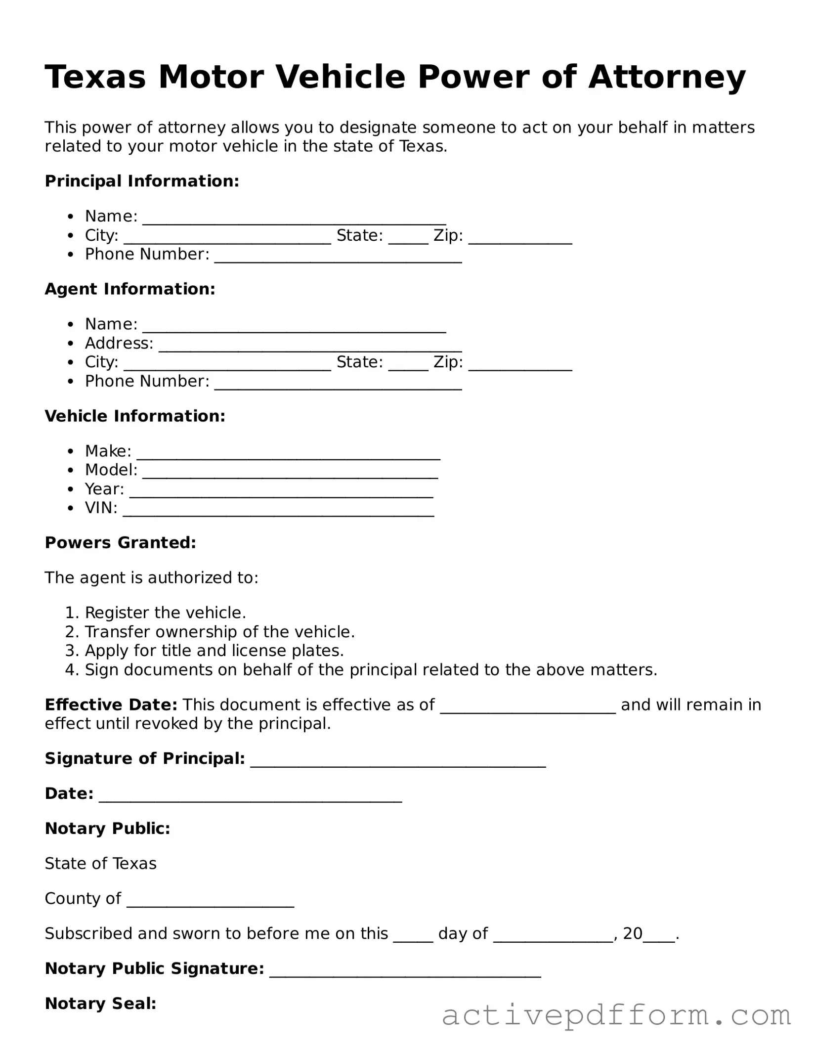 Blank Texas Motor Vehicle Power of Attorney Document